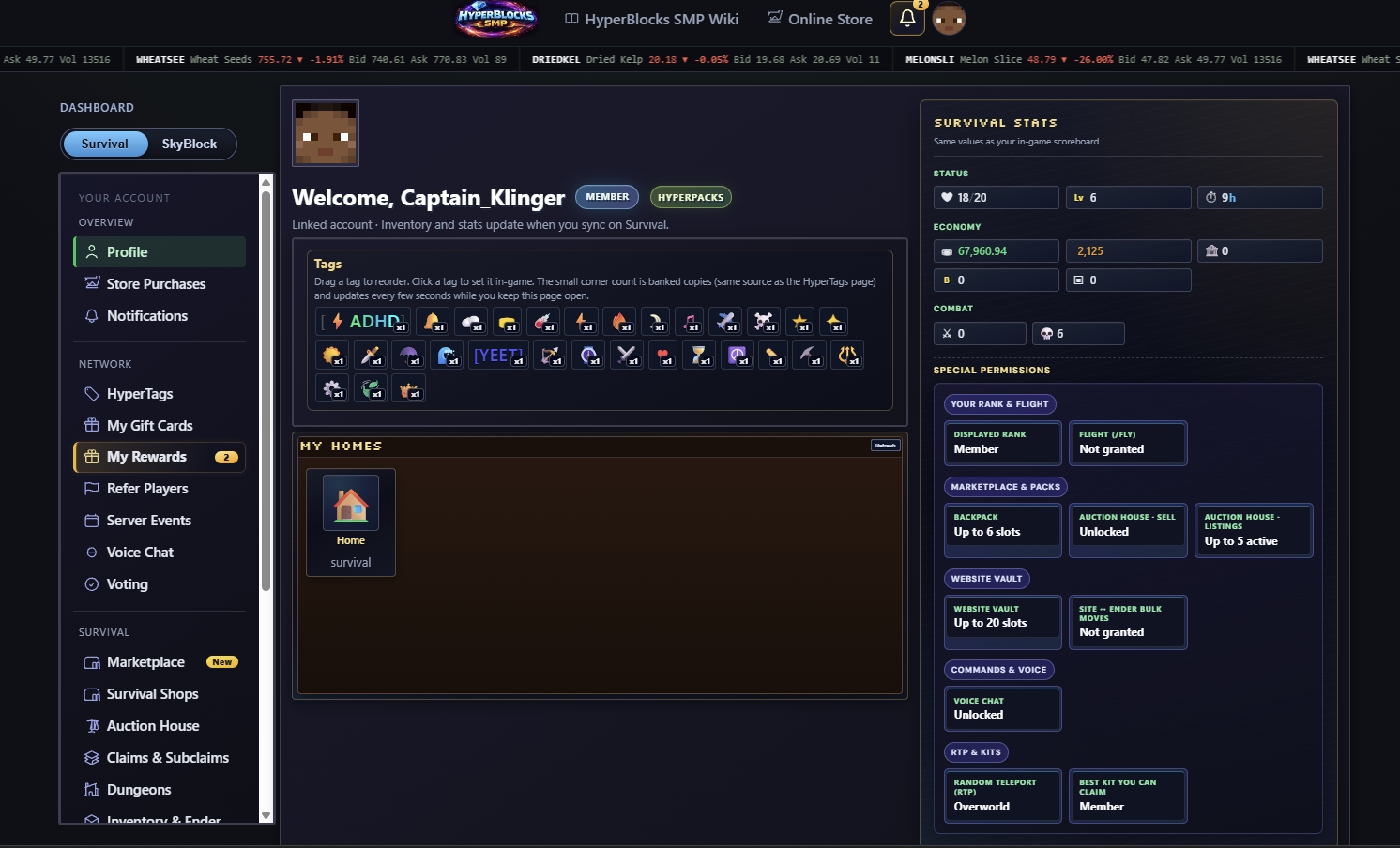 Account Profile with tags, homes, and Survival stats.